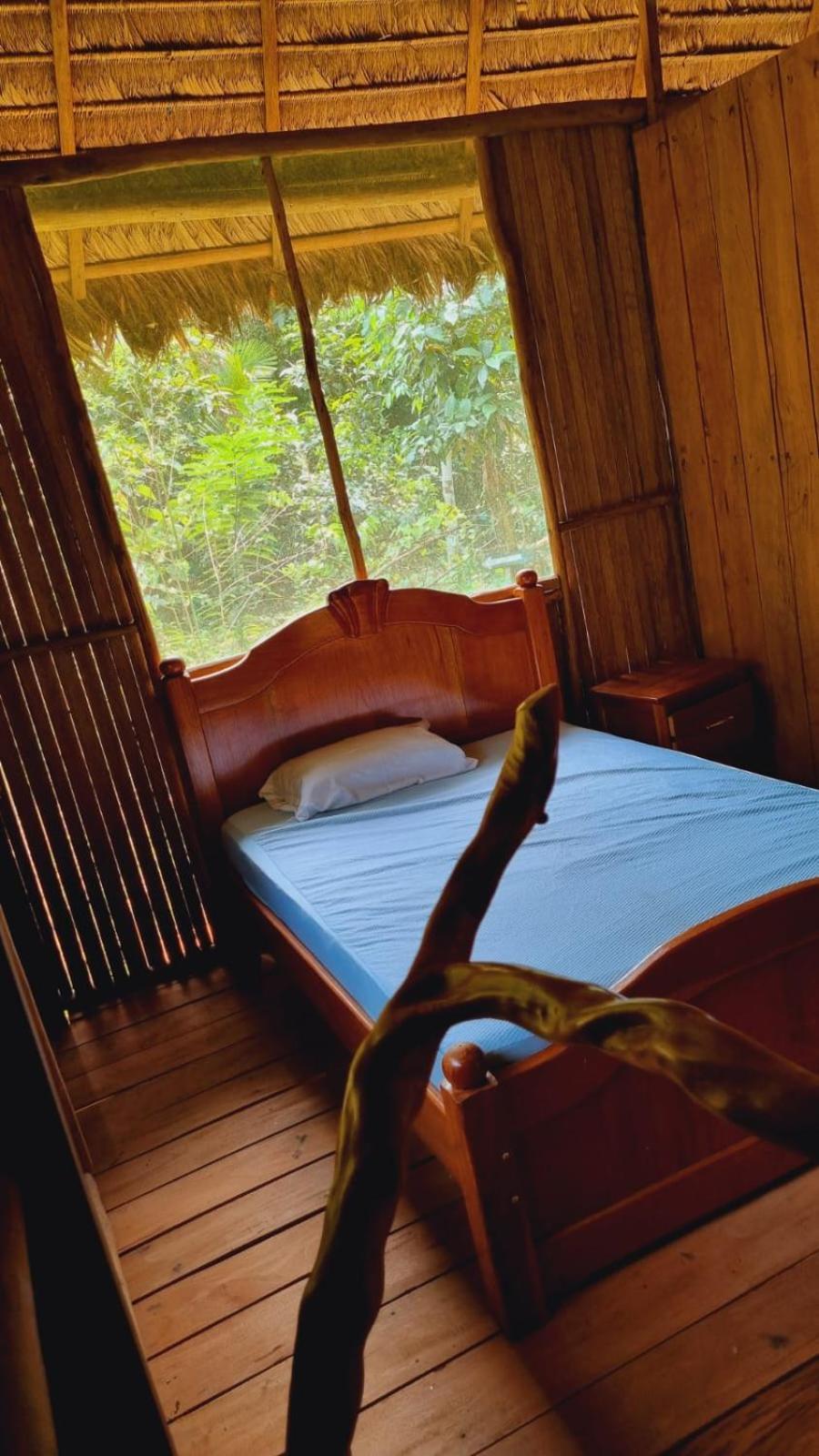 Хостел Castana Amazon Park Пуерто-Мальдонадо Екстер'єр фото