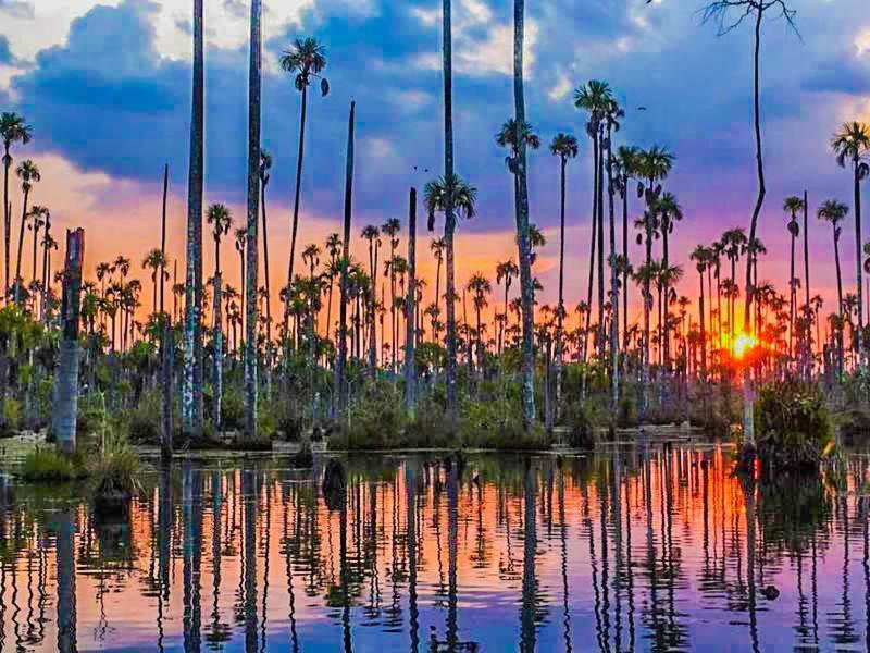 Хостел Castana Amazon Park Пуерто-Мальдонадо Екстер'єр фото