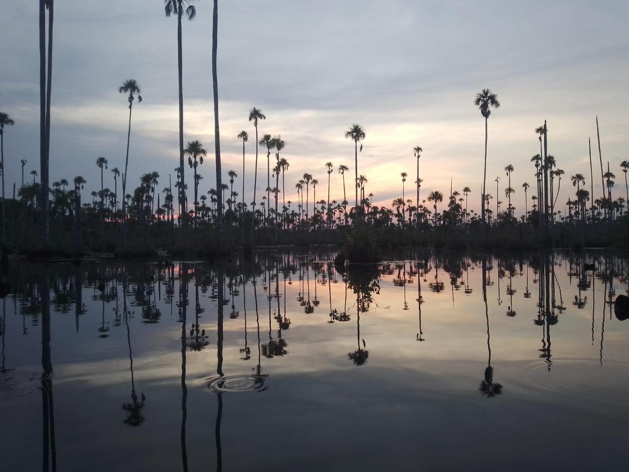 Хостел Castana Amazon Park Пуерто-Мальдонадо Екстер'єр фото
