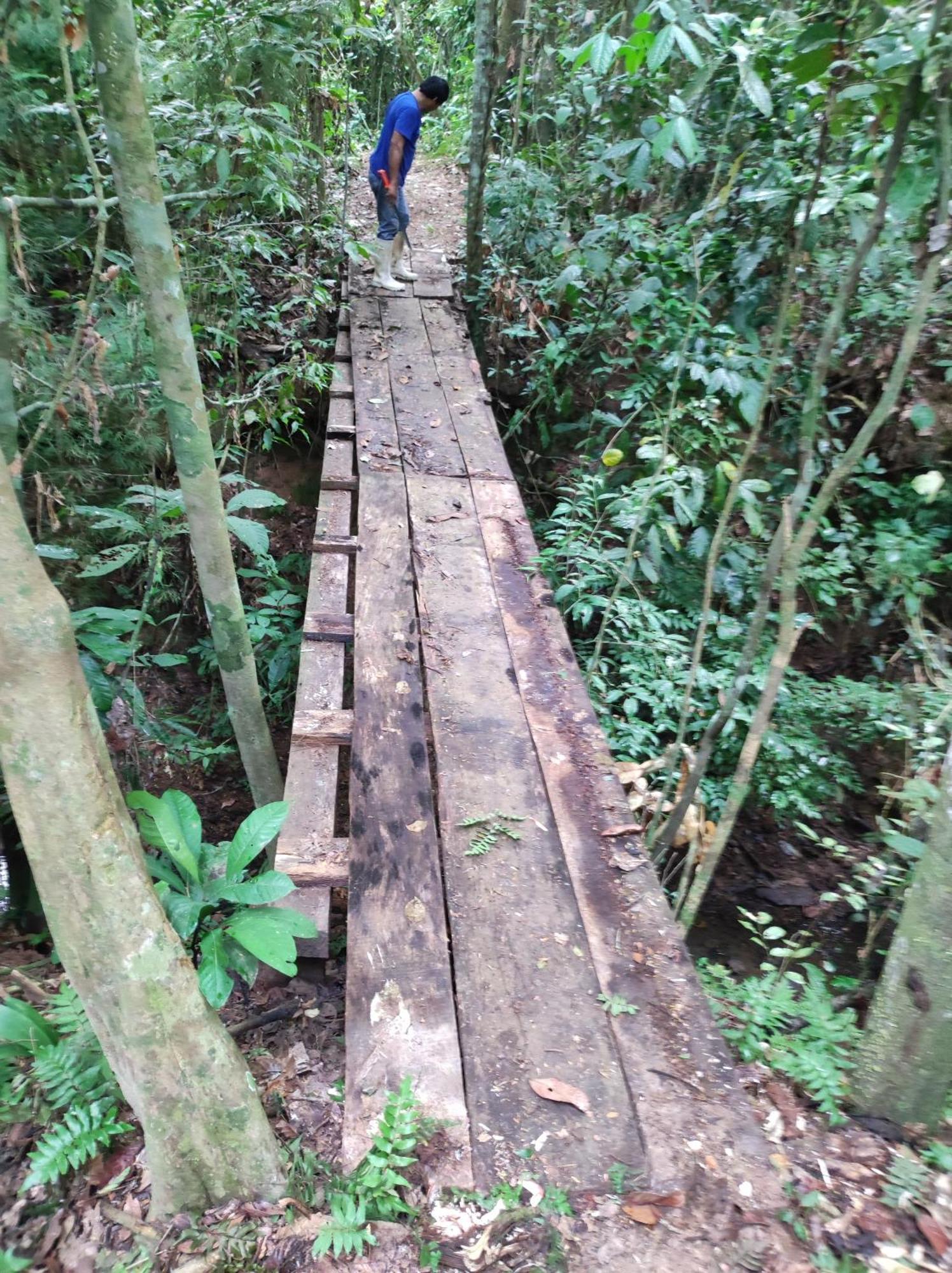 Хостел Castana Amazon Park Пуерто-Мальдонадо Екстер'єр фото