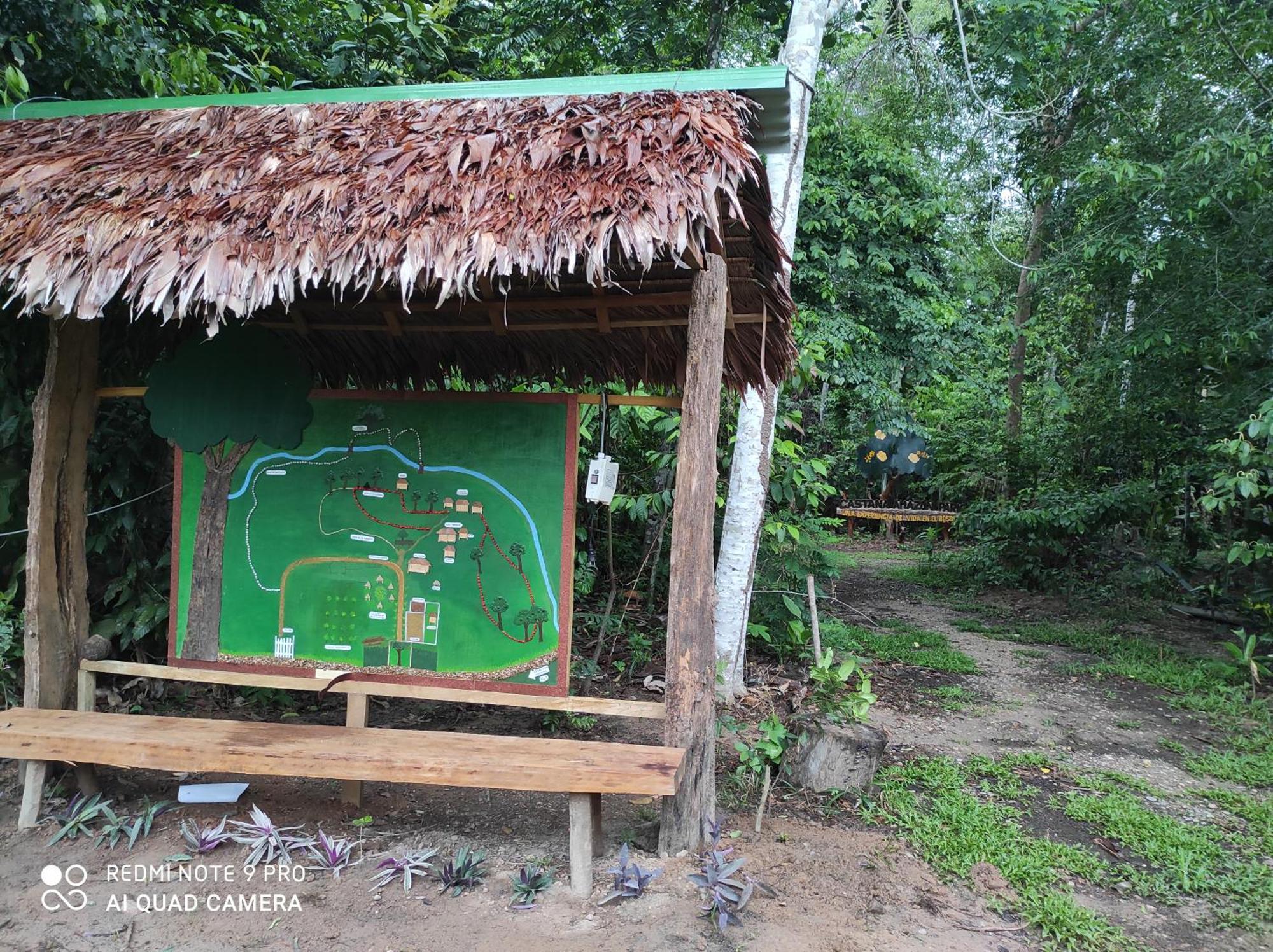 Хостел Castana Amazon Park Пуерто-Мальдонадо Екстер'єр фото